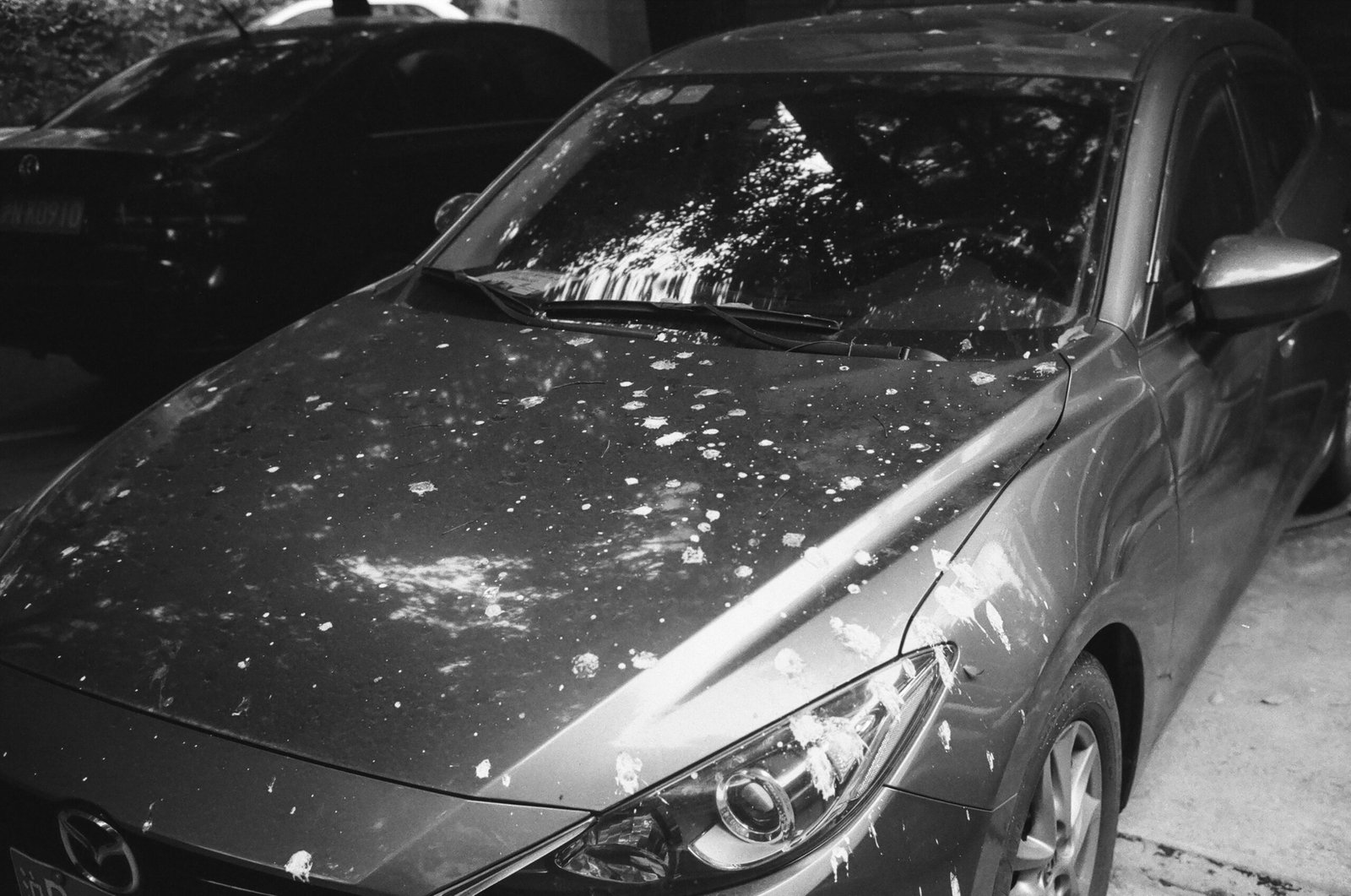What to Do If Your Car Gets Damaged by a Calgary Hailstorm: When You Should Drive, Repair or Tow